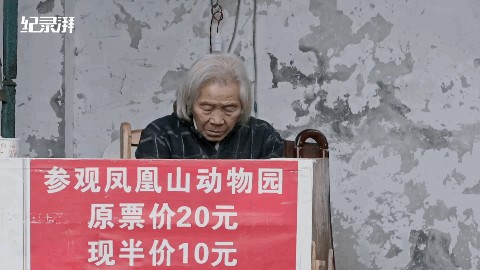 每天只有5人参观的动物园81岁老兵却苦守32年……